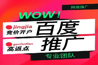 Sem优化公司案例：优化方案定制服务